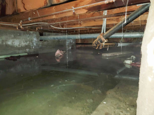 Best Carpet water damage restoration  in Desert Aire, WA