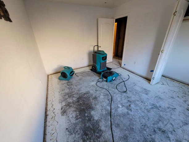 Best Water damage cleanup near me  in Desert Aire, WA