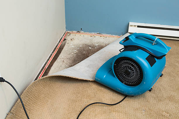 Best Water damage restoration company  in Desert Aire, WA